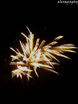 Firework