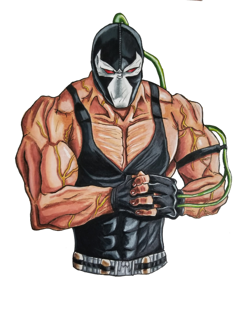 Bane - DC Comics by ntweedybirdart on DeviantArt