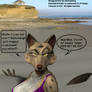 Hyena at the Beach