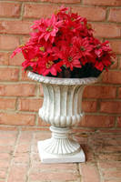 Poinsettia Urn 3