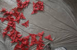 Origami Butterflies 4