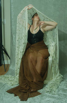 Veiled Nouveau Lady 15