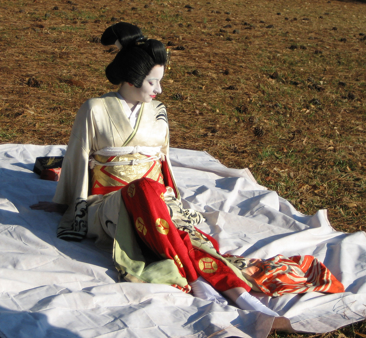 Geisha Fallen 6 by themuseslibrary on DeviantArt