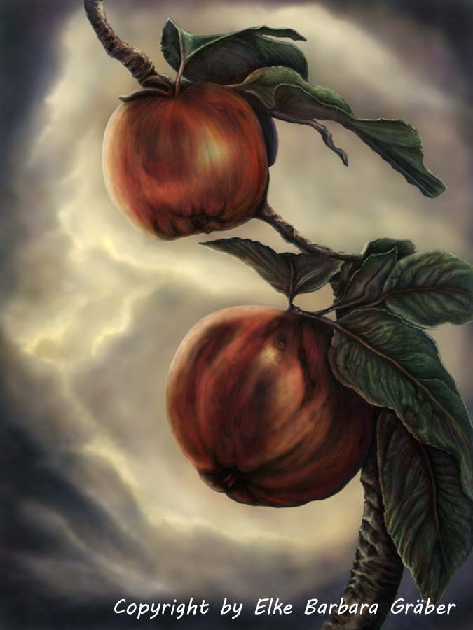 APPLES by MrsGraves