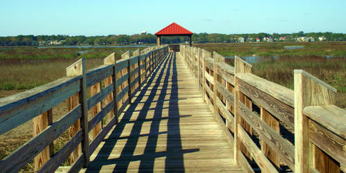 Boardwalk...