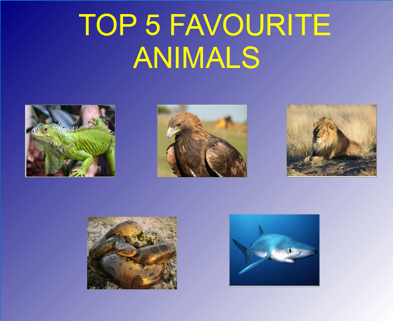 MY TOP 5 FAVOURITE ANIMALS MEME by GENETICHERO on DeviantArt