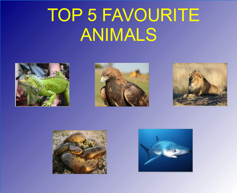 MY TOP 5 FAVOURITE ANIMALS MEME by GENETICHERO on DeviantArt MY TOP 5 FAVOURITE ANIMALS MEME by GENETICHERO on DeviantArt