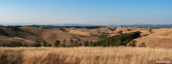 Country landscape