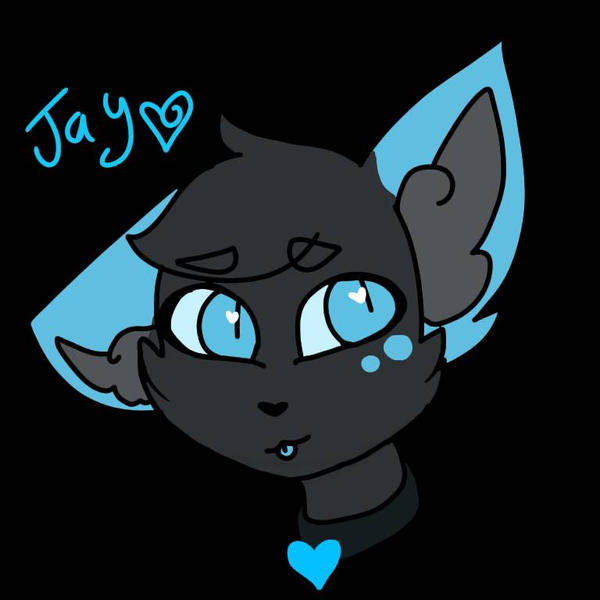 Sharp Jay Face Jay (HeadShot) by misty-senpai49 on DeviantArt