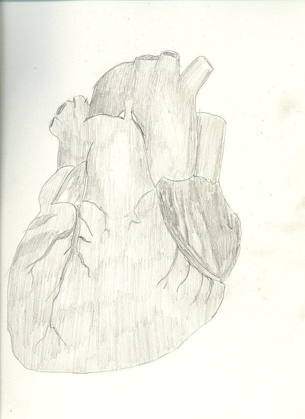 The Human Core by falloutguy78 on DeviantArt