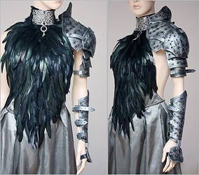 Feather dress and leather armor set II