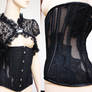 Dark beauty Gothic corset vampire gown victorian