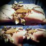 Cicada bracelet boho cuff