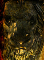 Lion's Face