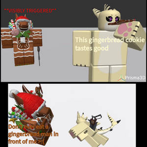 Randecember day 29: the Cookie consequences...