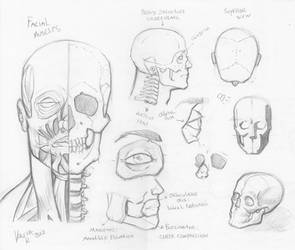 Random anatomy sketches 3
