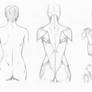 Random anatomy sketches 8