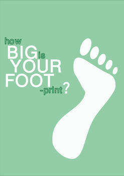 How BIG Is Your Foot?