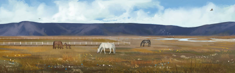 Horse Reality banner