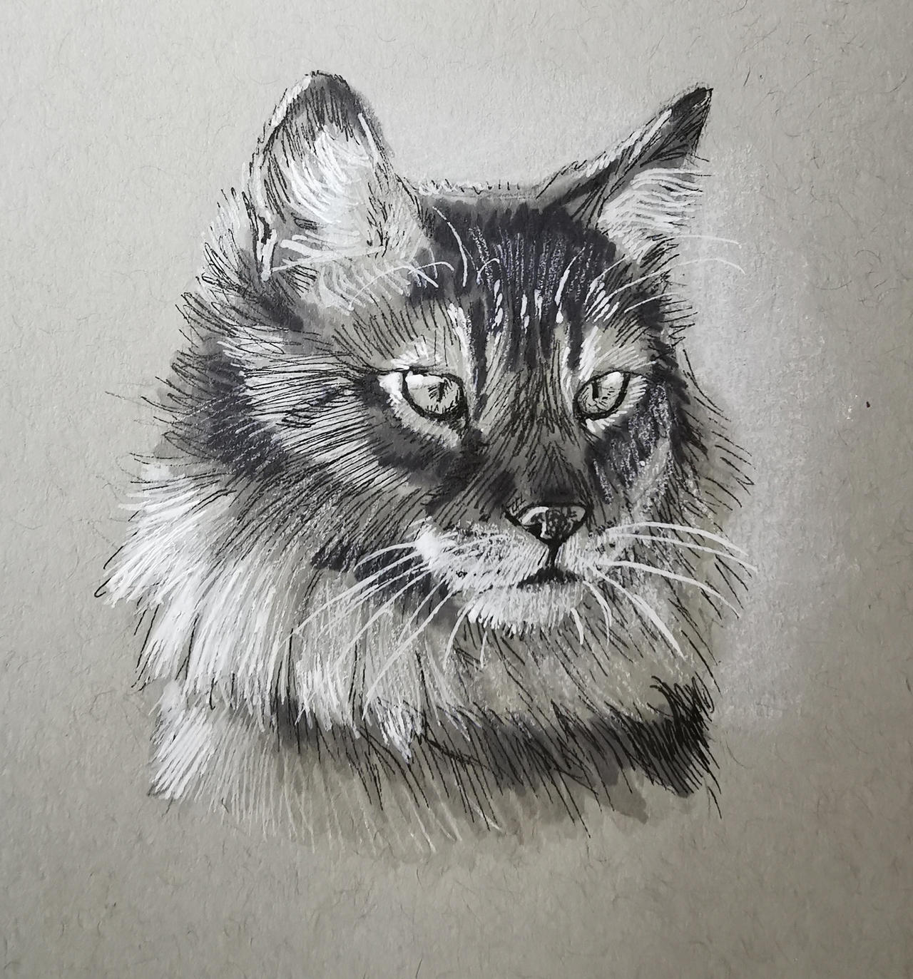 Ink Cat Rabbit Ink cat by NataliVol4ica on DeviantArt
