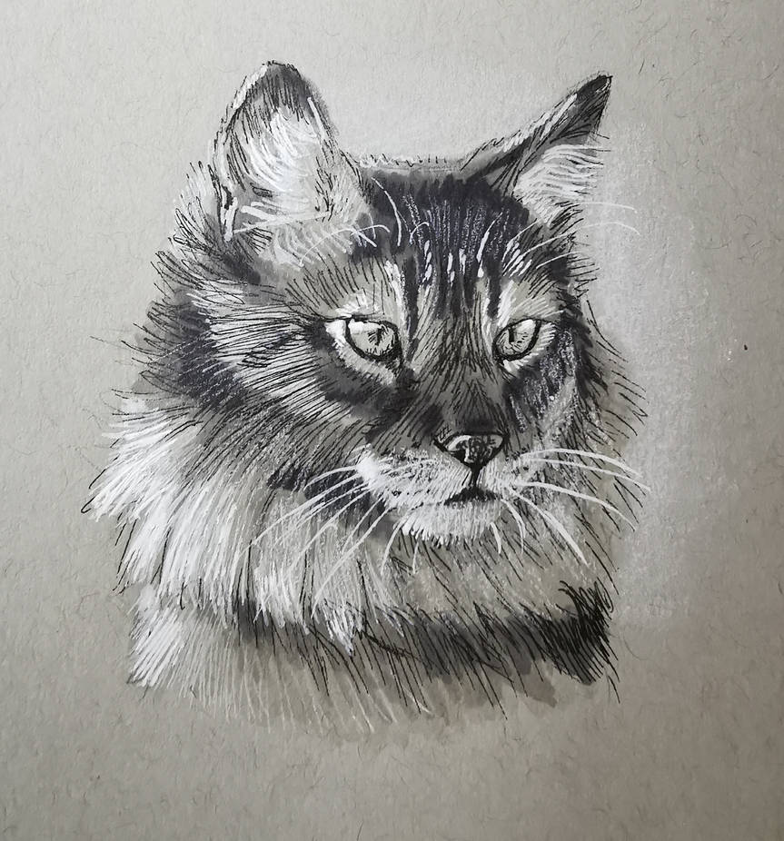 Ink cat by NataliVol4ica on DeviantArt