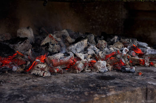 The Start of a Barbecue