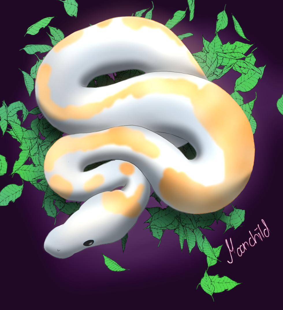 Ball Pythons by 19Moonchild95 on DeviantArt
