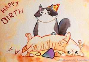 Birthday cats!