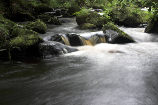 Hardcastle Crags II