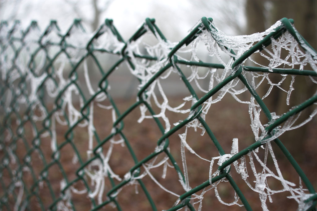 Frozen Fence