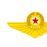 the Korean People's Army Air Force