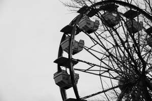 ferris wheel