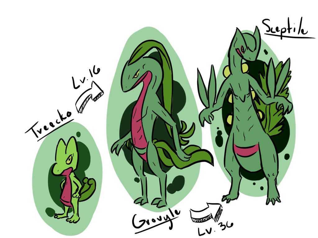 Treecko Evolution by Bleddynx on DeviantArt