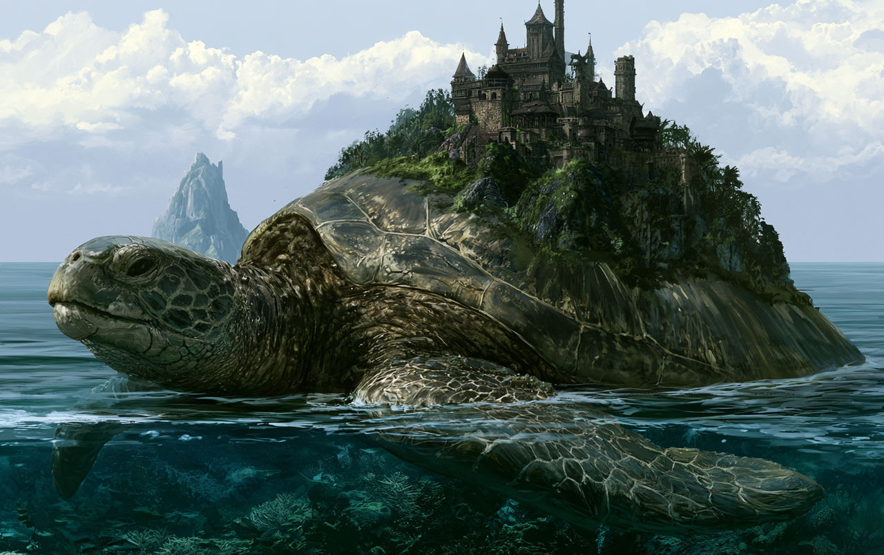 Turtle by rwb3d on DeviantArt