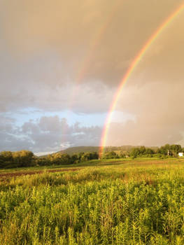 End of the Rainbow