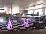 Twilight And Starlight In The Factory Kitchen