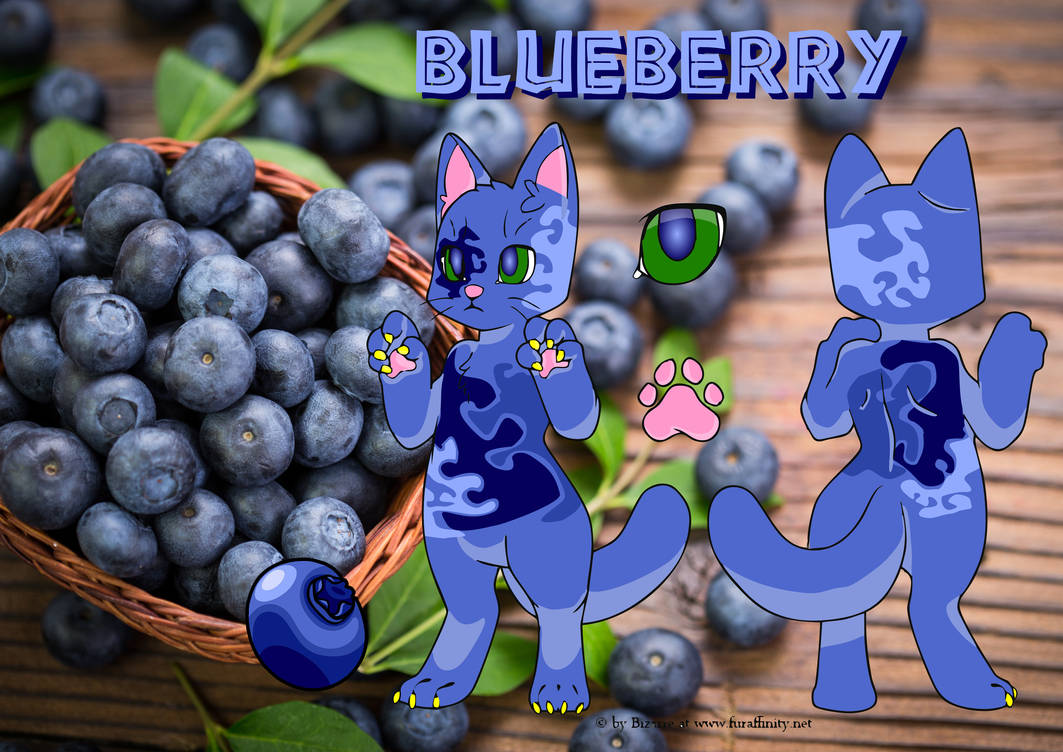 Blue Raspberry Cat Blueberry The Cat Ref Sheet by TheMrSnuggles on DeviantArt