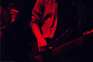 The Bass Player