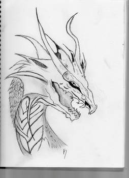 Dragon Head