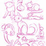 Cat Studies