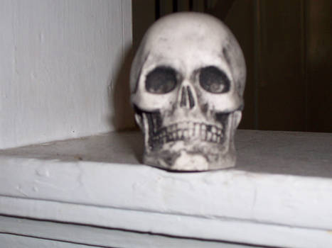 Skull