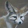 Fennec closeup