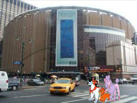 Outside Madison Square Garden