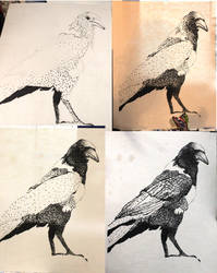 Crow Pointillism Process