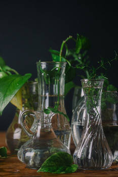 plants in glass - still life