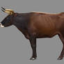 Aurochs Cow From Sassenberg