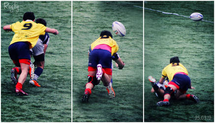 Rugby VI