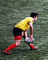 Rugby VII