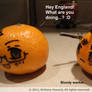 Iggy the Pirate Tangerine