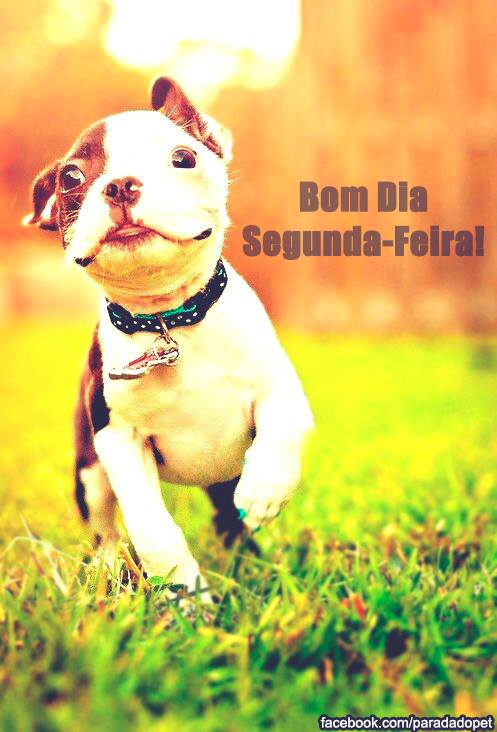 Desejamos a todos um bom dia e uma otima semana. by paradadopet on DeviantArt Desejamos a todos um bom dia e uma otima semana. by paradadopet on DeviantArt